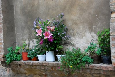 San Gimignano 10032008 061.jpg