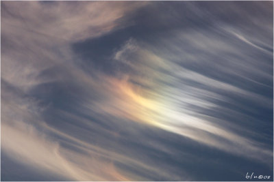 Circumhorizon Arc