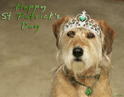 Happy St. Patrick's Day