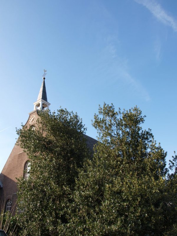 Herwijnen, NH kerk 21, 2011