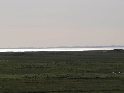 Ameland, Het oerd met zicht op vasteland, 2008.jpg