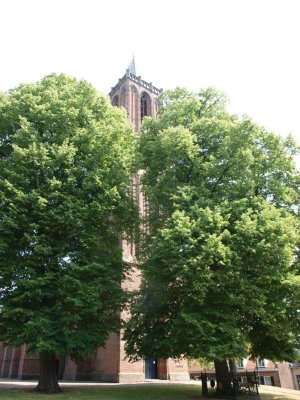 Amerongen, NH Andrieskerk 01, 2010.jpg
