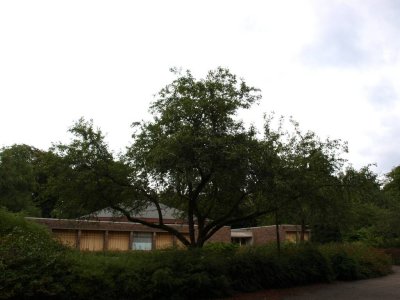 Zeist, RK voorm Christus Verrijzeniskerk 02, 2010