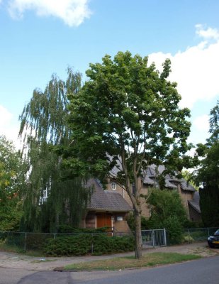 Zeist, nieuw apost kerk 12, 2010