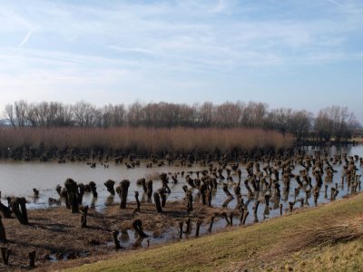 Neerijnen, 11, 2011