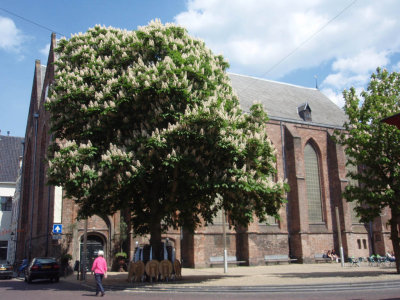 Zwolle, Bethlehemkerk voorm herv gem, 2008.jpg