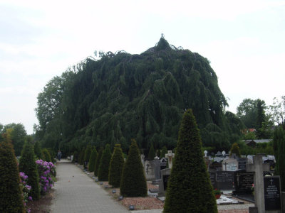 Albergen, RK kerkhof, 2008