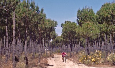 TransAndalus: Almonte - Villamanrique