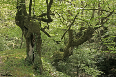Valle de Caburniga