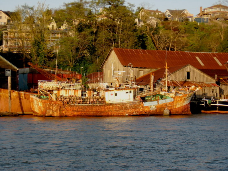 Nasty longliner in repose, Cathlamet waterfront on the Cathlamet Channel.