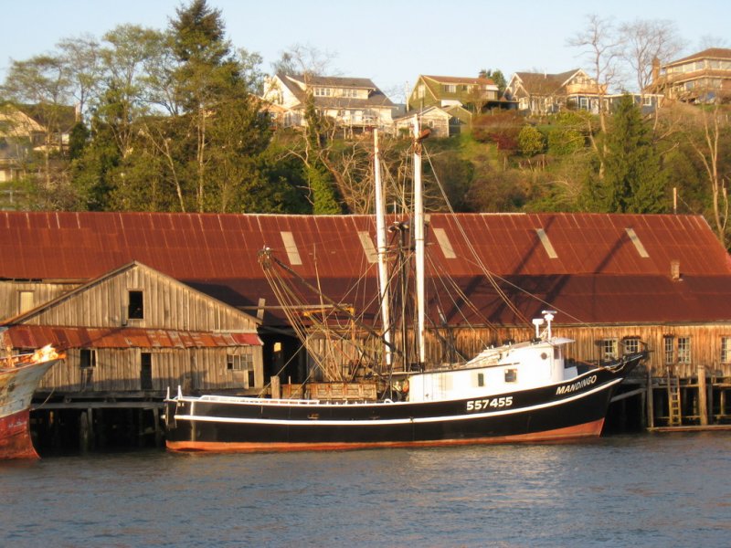 Mandingo at rest, Cathlamet waterfront