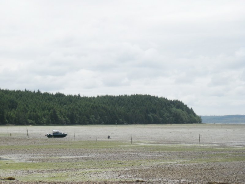 W_07ClammerBay.jpg