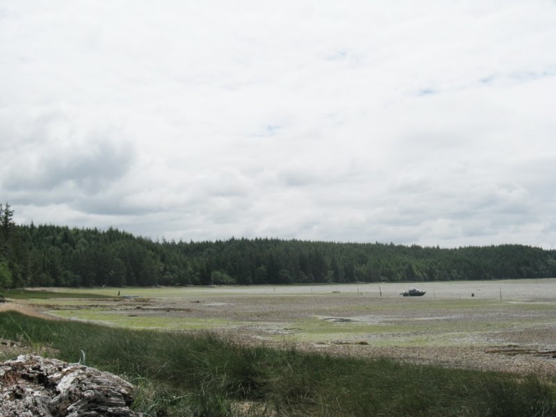 W_08KayakerClammerBay.jpg