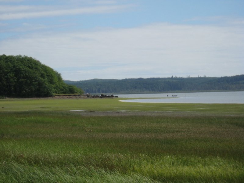 W_11GrassBayPinnacleRock.jpg