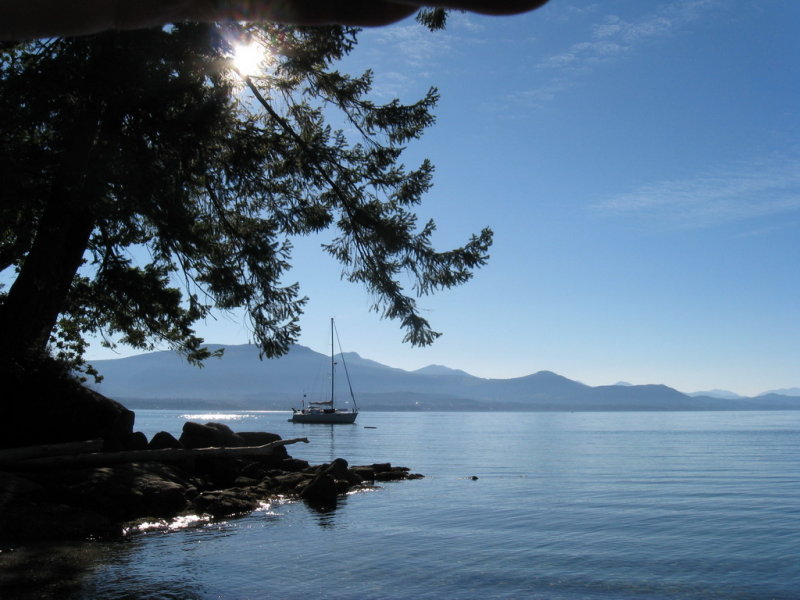 Sailboat off the cove.