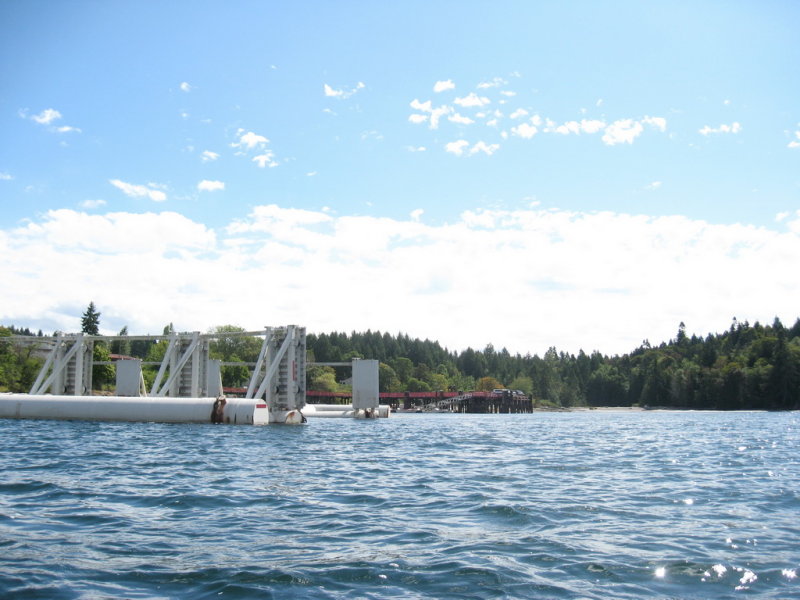 Again; Government dock in the distance.