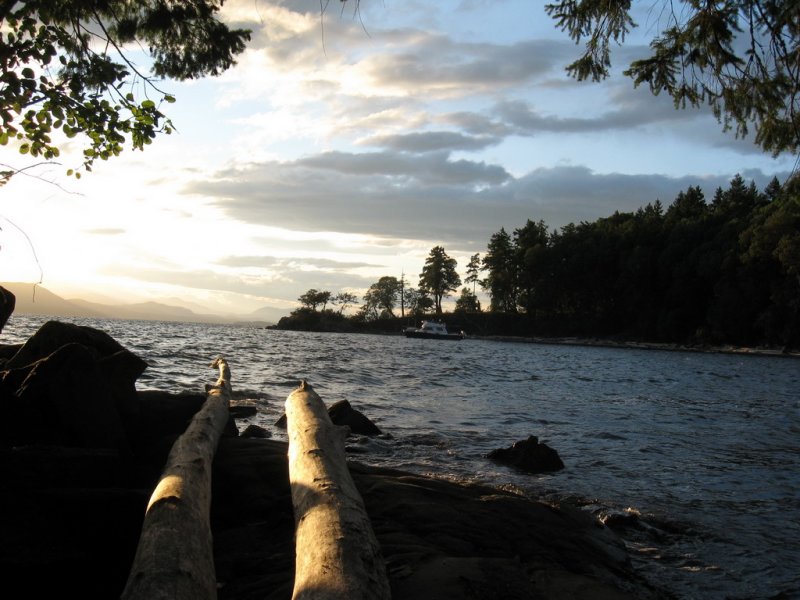 Evening light, last night here.