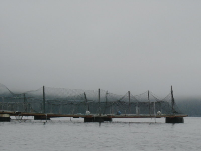 Between the Stoppers, an out of service net pen framework.