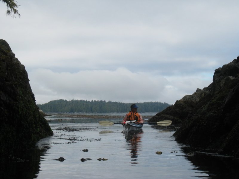 Lotta bull kelp, anenomes, etc., in there.