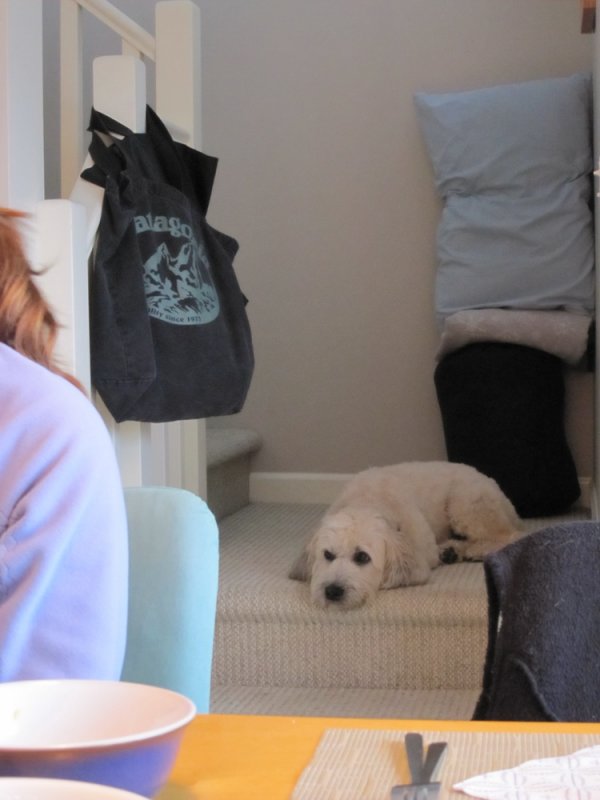 Snuffy ponders.