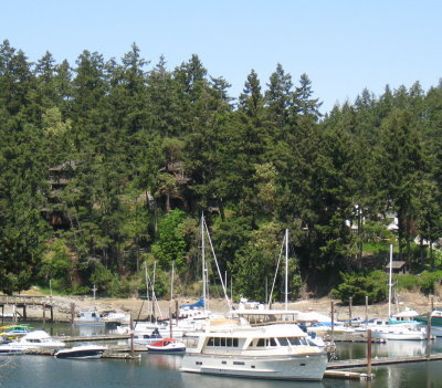 Allll the way to Ganges for more sun; The Scoter surrounded by big boys, Salt Spring Marina, Good place.