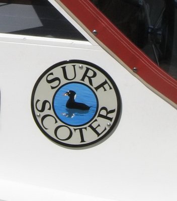 Now everybody will know what a surf scoter looks like.
