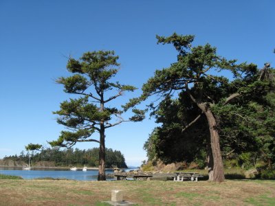 Looking west from same location; Fox Cove.