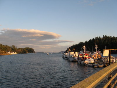 Fossil Bay in evening light, close of the day for Becky and me. Others sang into the night.