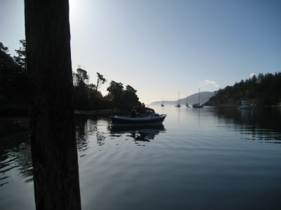 Scoter barely visible, morning light on Fossil Bay. Stan Johnson photo.
