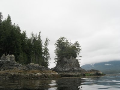 Love those haystack landforms.