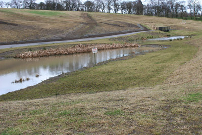 New ponds