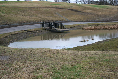 New ponds