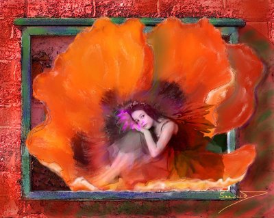 Poppy Fairy