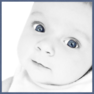 Daisy_blue-eyes_photoshop