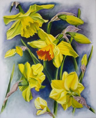 Study of Daffodils_oils
