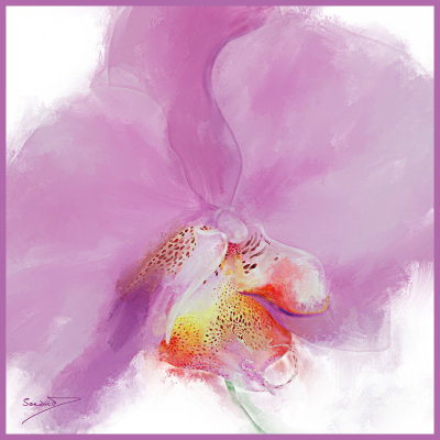  Pink Orchid