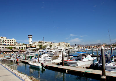 Cabo San Lucas Harbor