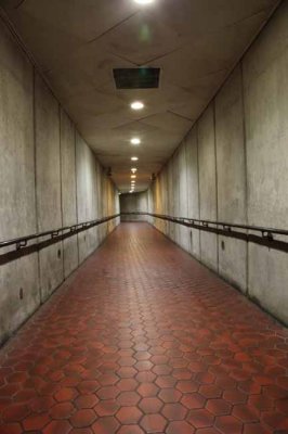 Catacombs of the DC METRO