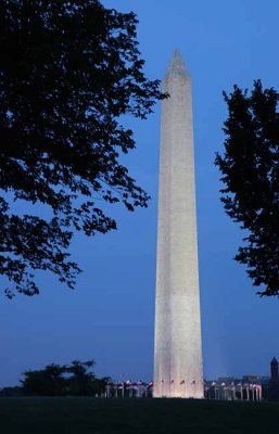 Washington icon
