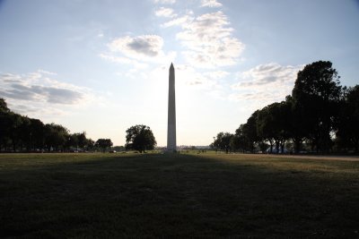 In The Shadow