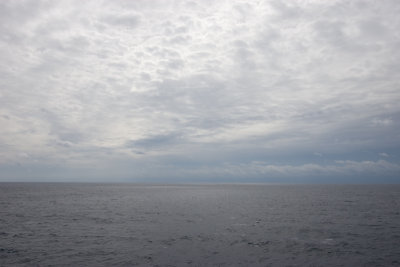 Exactly what we came to sea