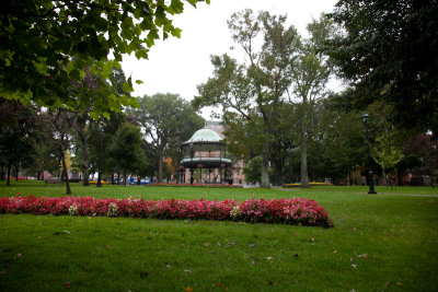 City park with summer flowers