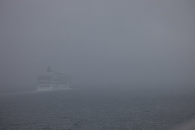 Not lost in the fog