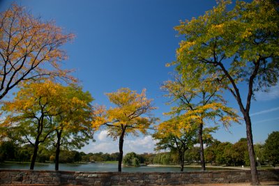 Fall colors on the Mall