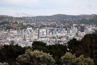 Ah, theres Wellington