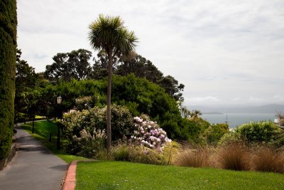 The Lady Norwood Rose Garden