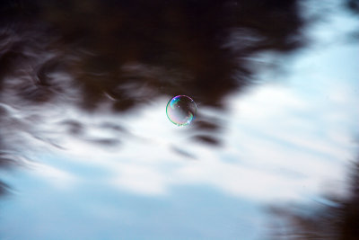 Bubble Photography