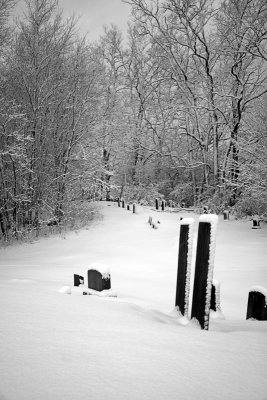 Canterbury Village Cemetery, Winter 1
