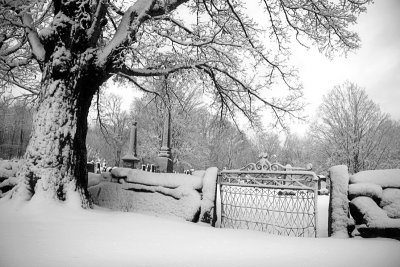 Canterbury Village Cemetery, Winter 3