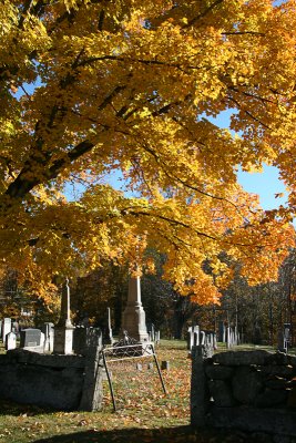 Canterbury Village Cemetery, Autumn 1